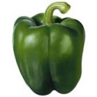 Green Bell Pepper